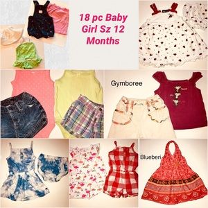 18 pc Baby Girl Lot Sz 12 Months (51)